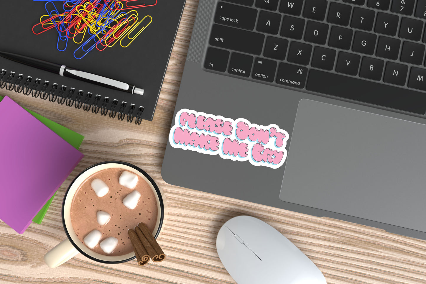 Please Don't Make Me Cry Sticker